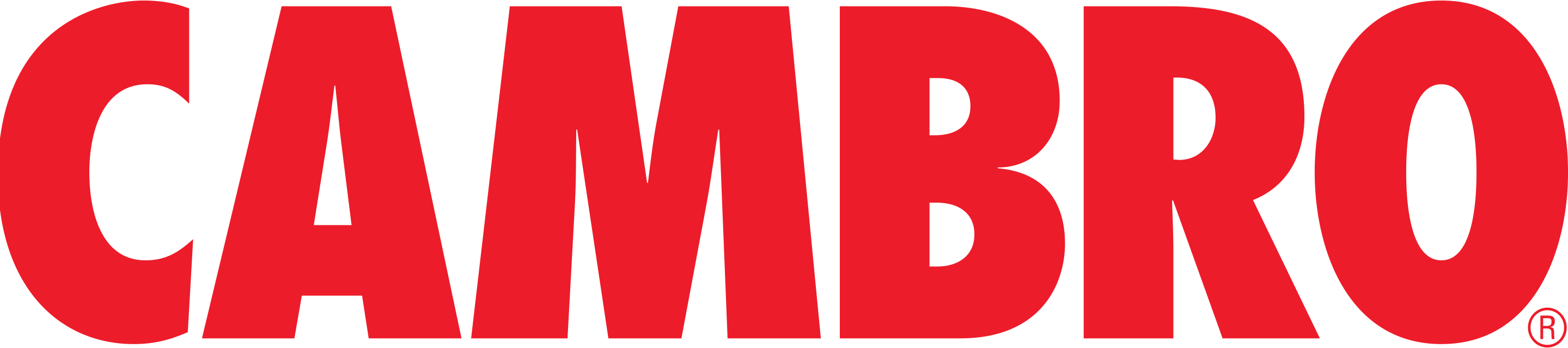 CAMBRO CAMBRO